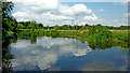 Pasture by the River Soar near Rothley, Leicestershire