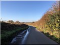 Shadows on Terwick Lane