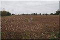 Harvested field near Heanley Farm