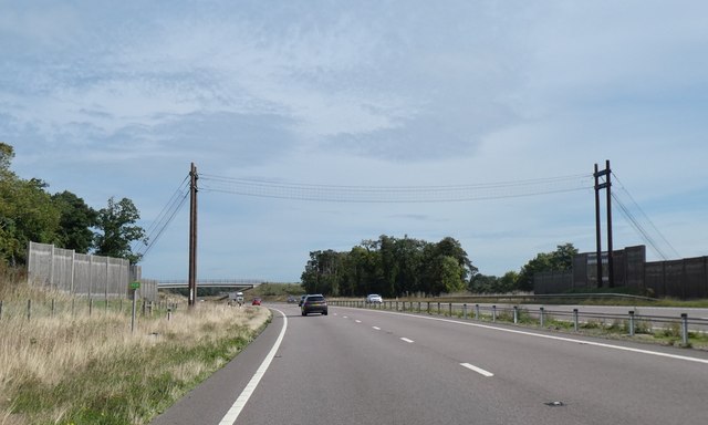 Bat bridge over A11
