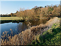 River Lea near Hertford