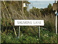 Salmons Lane sign