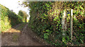 Path to Stancombe