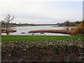 Ballydugan Lake 