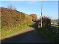 Hollywell Road leaving Caerwys