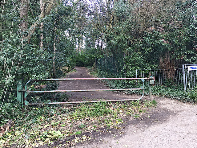 Lower end of Stambourne Woods, Upper Norwood, south London