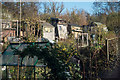 Highgate : Fitzroy Park Allotment sheds