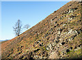 NY2726 : Rocks on steep hillside by Trevor Littlewood