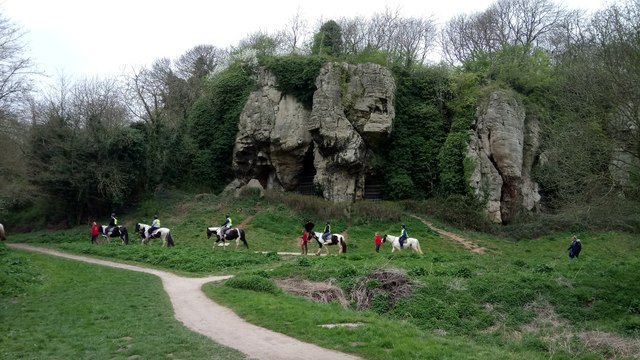 Horses at Cresswell Crags