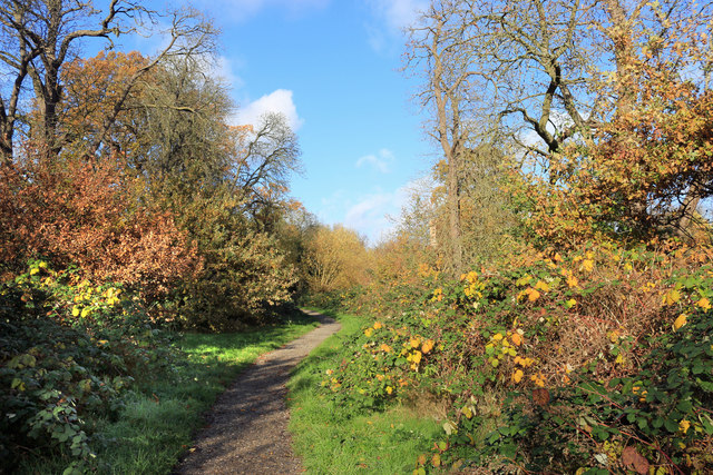 Woodland Path, Eastcote