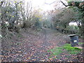 Bridleway heading towards Bert-ddu