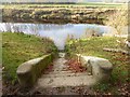 Ferry steps, Beningbrough