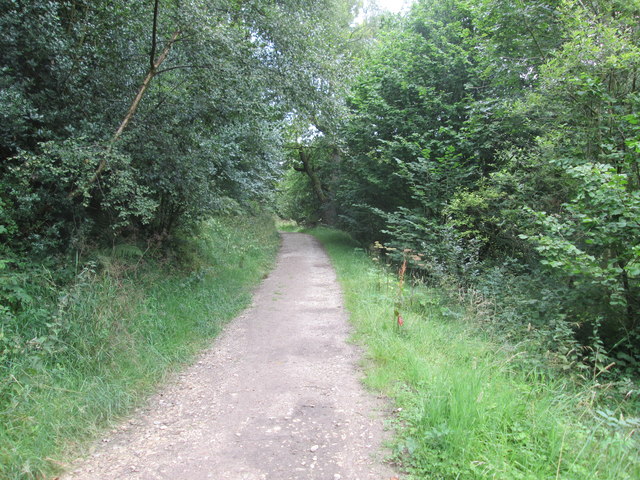 Bridge  Road  (track)  through  Nettle  Dale
