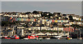 Brixham from the ferry