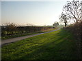 Wide verge on Holme Lane, near Windy Hill