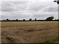 TM3568 : Field off Rendham Road by Geographer