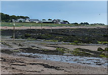 NO5734 : Beach and rocks at West Haven, Carnoustie by Mat Fascione