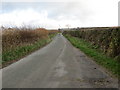 A section of hedge-lined road from Pont Ystrad to Llanrhaeadr