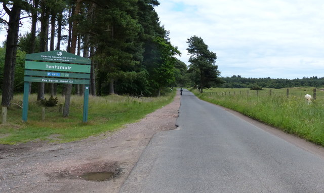 Lane to the car park at the Tentsmuir National Nature Reserve