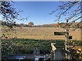 Fields near Woodhouse Farm