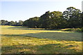 Field north of Hever Castle