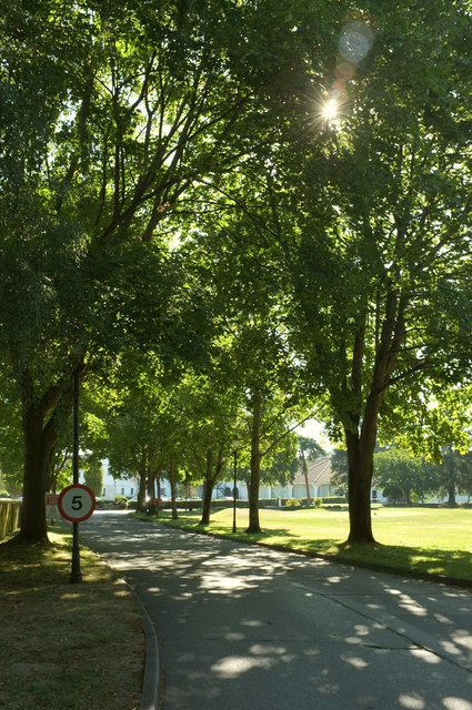 Entrance drive, Copthorne Hotel Effingham Park