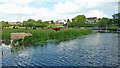 Riverside grazing near Barrow upon Soar