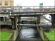 TQ2387 : River Brent at Brent Cross by Robin Webster
