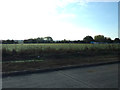 Farmland off the A12 London Road