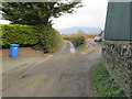 Minor road passing Pentre Farm