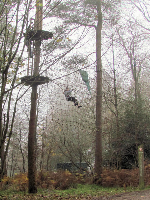 Caught in the Net - Go Ape on a misty day in Wendover Woods