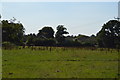 Farmland, Hatch End