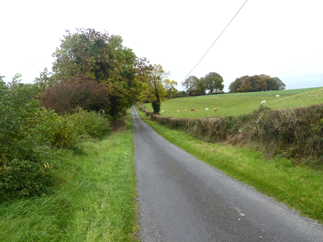 Country road at Gillardstown