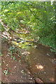 Stream, Great Parks valley