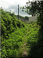 Footpath to Highfield Crescent, Paignton