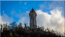 NS8095 : The Wallace Monument by Peter Moore