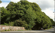 ST5874 : Redland Green Overbridge by Derek Harper