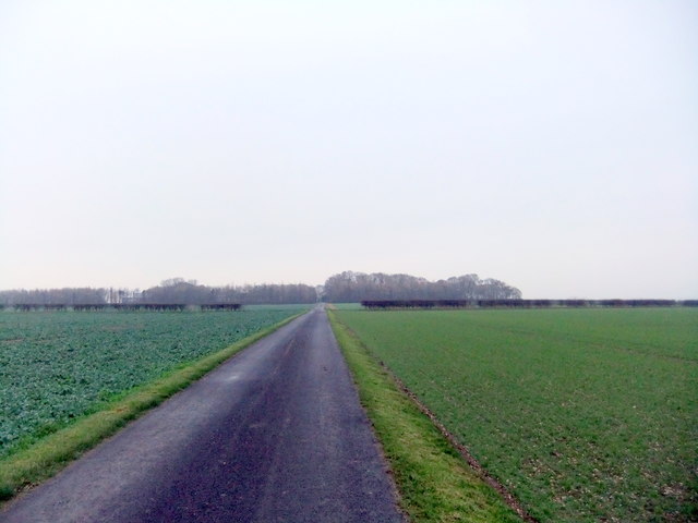 Road to Wold House Farm