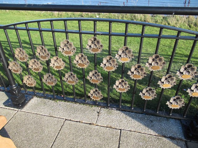 Part of Seaham's Field of Remembrance