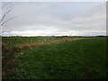 Grassland near Oakwoodhill