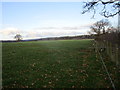 NY3972 : Grassland at Kirkandrews on Esk by Jonathan Thacker