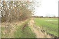 Footpath crossing farmland