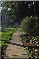 Memorial Path