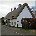 TL3142 : Litlington: Oak Cottage and beech hedge by John Sutton