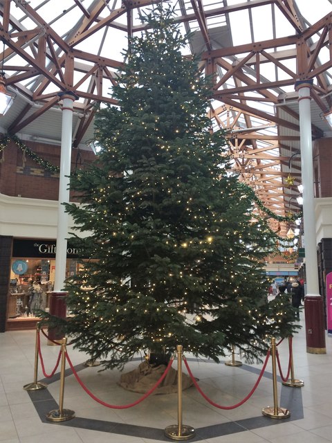 Christmas tree in the Victoria Shopping Centre