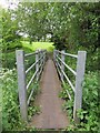 SP5405 : Footbridge to Warneford Meadow by Steve Daniels