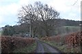 Track near Langlees House