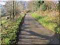 Minor road near Brithdir-mawr