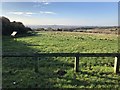 The Downs near High Salvington