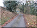 Minor road near Bryn Robin